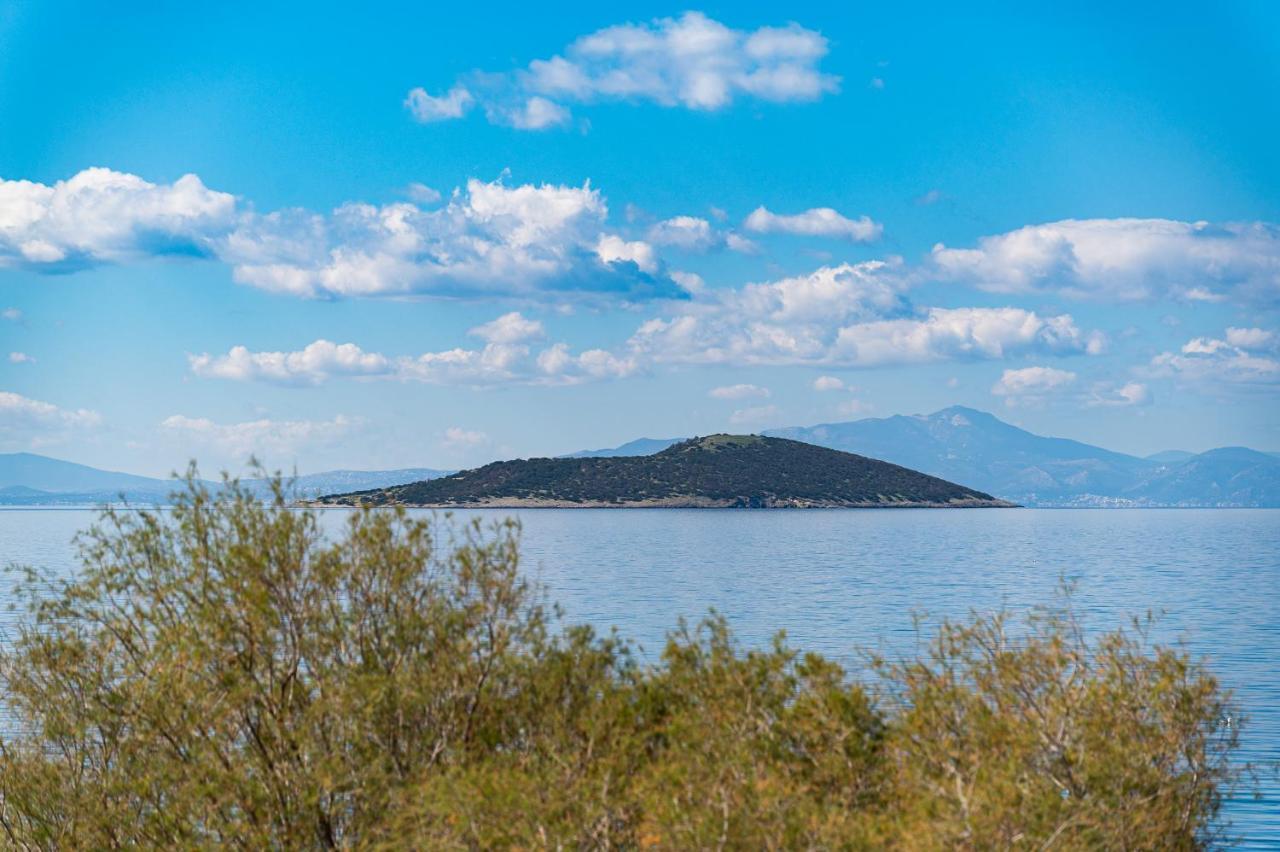 Marmari Ο Μόλος公寓 外观 照片